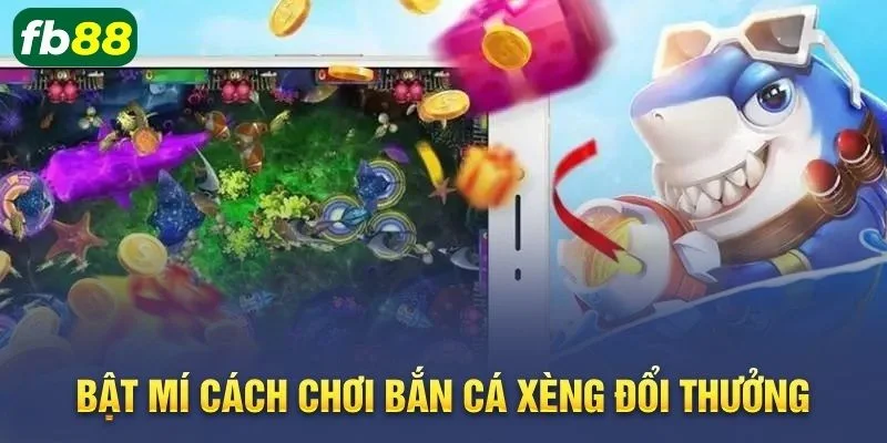 Cược bắn cá nếu có kinh nghiệm sẽ cho bạn cơ hội thắng lớn.