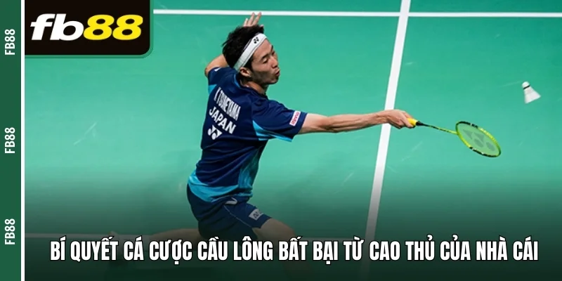 Bí quyết cá cược cầu lông bất bại từ cao thủ của nhà cái