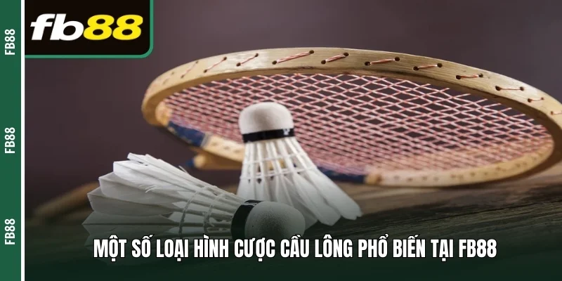 Một số loại hình cược cầu lông phổ biến tại Fb88