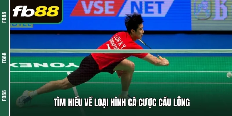 Tìm hiểu về loại hình cá cược cầu lông