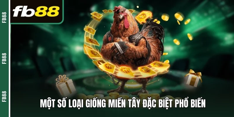 Một số loại giống miền Tây đặc biệt phổ biến 