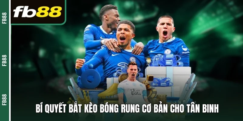 Bí quyết bắt  kèo bóng rung cơ bản cho tân binh