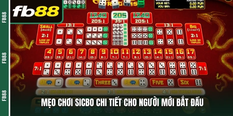 Mẹo chơi Sicbo chi tiết cho người mới bắt đầu 